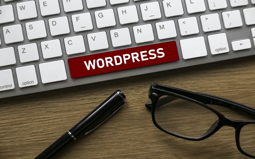 MELHOR hospedagem Wordpress para o meu site