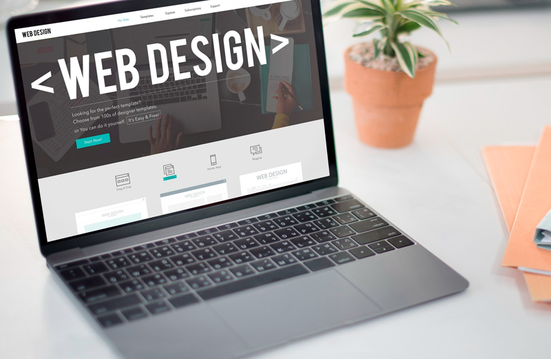 Web designer – Entenda a importância desse profissional!