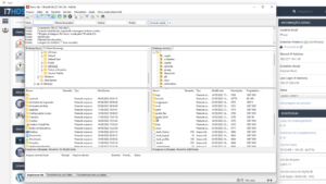 Arquivos da hospedagem