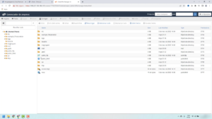 Gerenciador de arquivos cPanel