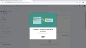 Configuração de domínio realizada no Google Seach Console 