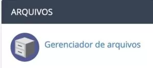Acesse o Gerenciador de Arquivos para forçar HTTPS