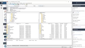 Arquivos da hospedagem