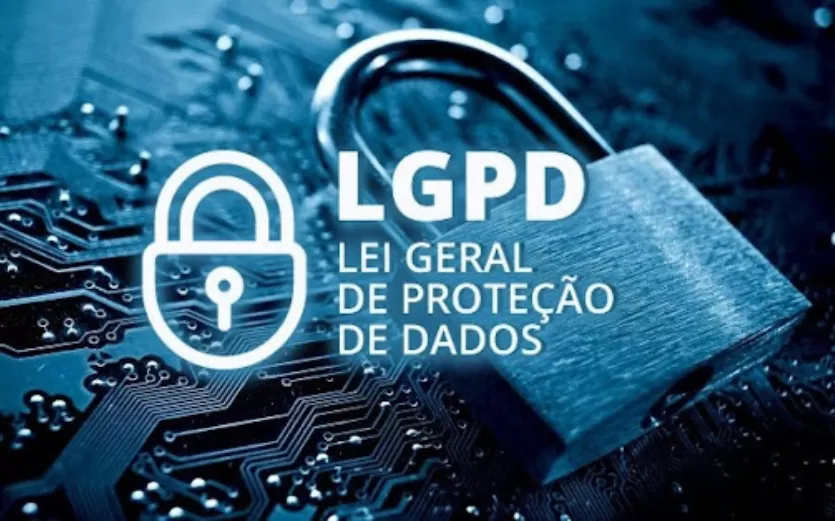 LGPD-TEXTO LGPD nos provedores de hospedagem de site